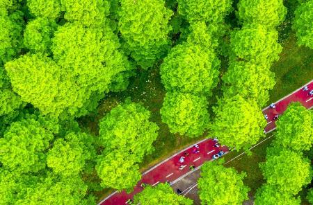 宿迁泗洪敬老院一年多少费用?